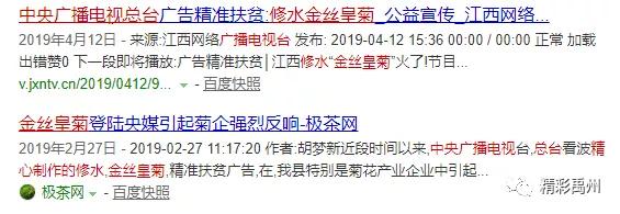 上榜央视的金丝皇菊,原来藏在禹州这里...... 上榜央视的金丝皇菊,原来藏在禹州这里......