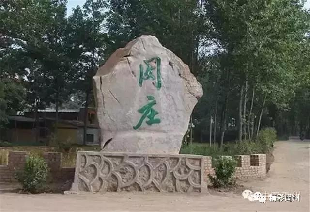 上榜央视的金丝皇菊,原来藏在禹州这里...... 上榜央视的金丝皇菊,原来藏在禹州这里......