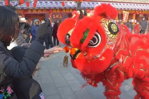 2020春节活动大盘点,禹州人可以去这么多地方玩快收藏! 2020春节活动大盘点,禹州人可以去这么多地方玩快收藏!