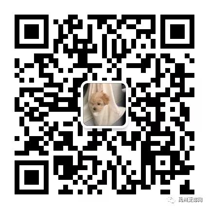 神垕这次火了!2020神垕首个民俗非遗文化庙会,1月25日将盛大开幕! 神垕这次火了!2020神垕首个民俗非遗文化庙会,1月25日将盛大开幕!