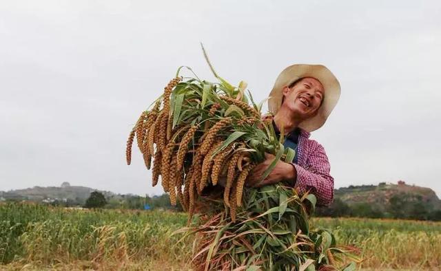 从“贫困村”到“明星村”!禹州这个村是如何逆袭的? 从“贫困村”到“明星村”!禹州这个村是如何逆袭的?