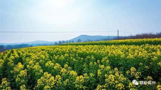 从“贫困村”到“明星村”!禹州这个村是如何逆袭的? 从“贫困村”到“明星村”!禹州这个村是如何逆袭的?