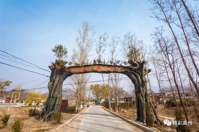 从“贫困村”到“明星村”!禹州这个村是如何逆袭的? 从“贫困村”到“明星村”!禹州这个村是如何逆袭的?