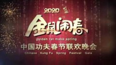 云上禹州直播：央视2020中国功夫春晚
