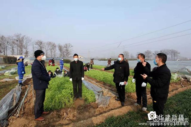 危机时刻禹州菜农共产党员孙长安献大爱 危机时刻禹州菜农共产党员孙长安献大爱