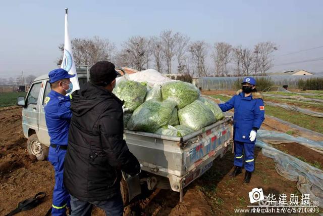 危机时刻禹州菜农共产党员孙长安献大爱 危机时刻禹州菜农共产党员孙长安献大爱
