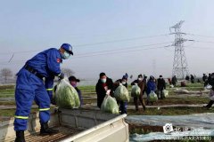 危机时刻禹州菜农共产党员孙长安献大爱