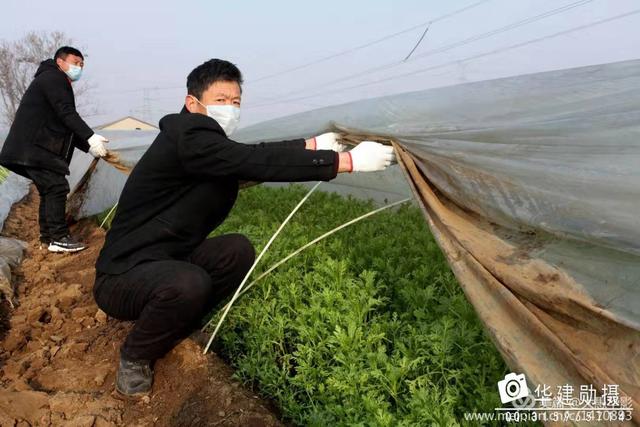 危机时刻禹州菜农共产党员孙长安献大爱 危机时刻禹州菜农共产党员孙长安献大爱