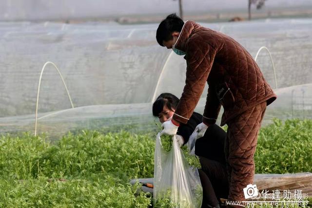 危机时刻禹州菜农共产党员孙长安献大爱 危机时刻禹州菜农共产党员孙长安献大爱