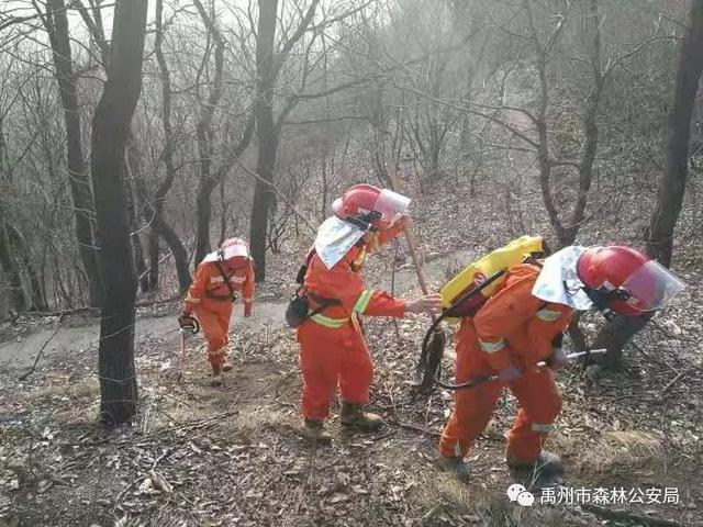 疫情面前履职尽责,初心不改 --禹州市森林公安局森林消防大队 疫情面前履职尽责,初心不改 --禹州市森林公安局森林消防大队