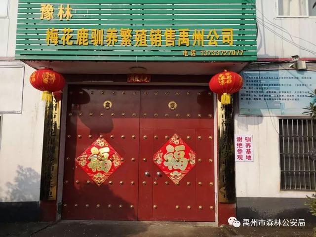 疫情防控,禹州市森林公安局直属派出所在行动! 疫情防控,禹州市森林公安局直属派出所在行动!