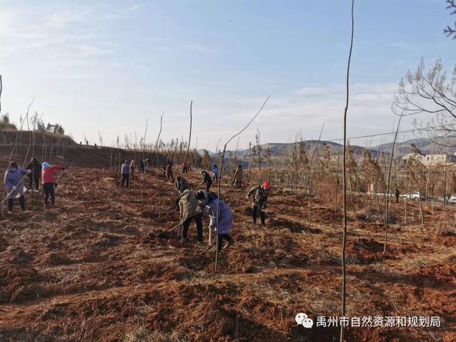 禹州市自然资源和规划局扎实推进疫情防控期间重点工作 禹州市自然资源和规划局扎实推进疫情防控期间重点工作