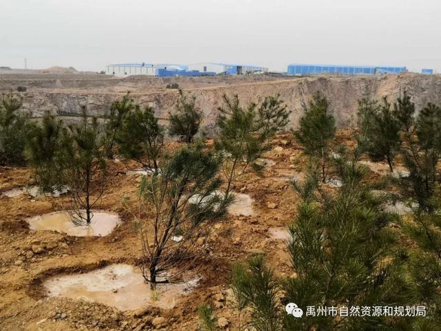 禹州市自然资源和规划局扎实推进疫情防控期间重点工作 禹州市自然资源和规划局扎实推进疫情防控期间重点工作