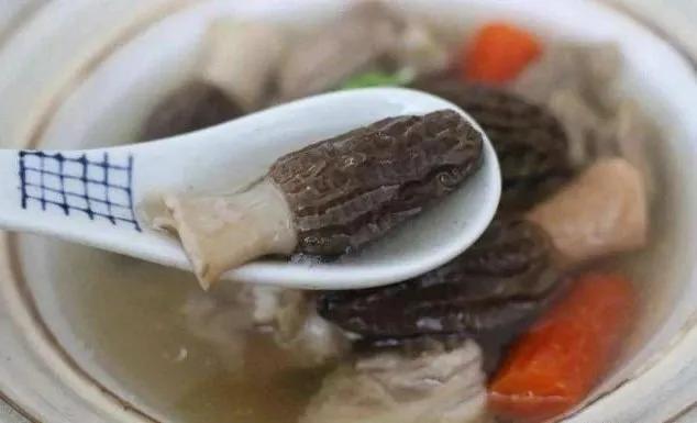 禹州顺店镇下毋村第二批鲜羊肚菌成熟了,小编喊你来尝鲜! 禹州顺店镇下毋村第二批鲜羊肚菌成熟了,小编喊你来尝鲜!