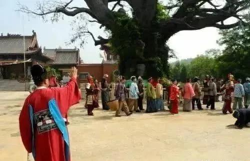 禹州朱阁镇祁庄村的古槐树 禹州朱阁镇祁庄村的古槐树