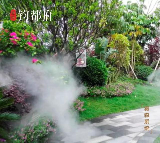 @禹州人,彩虹桥北这个地方免费送口罩+消毒酒精啦!快看.... @禹州人,彩虹桥北这个地方免费送口罩+消毒酒精啦!快看....