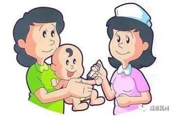3月2日起我市将有序恢复疫苗接种 3月2日起我市将有序恢复疫苗接种