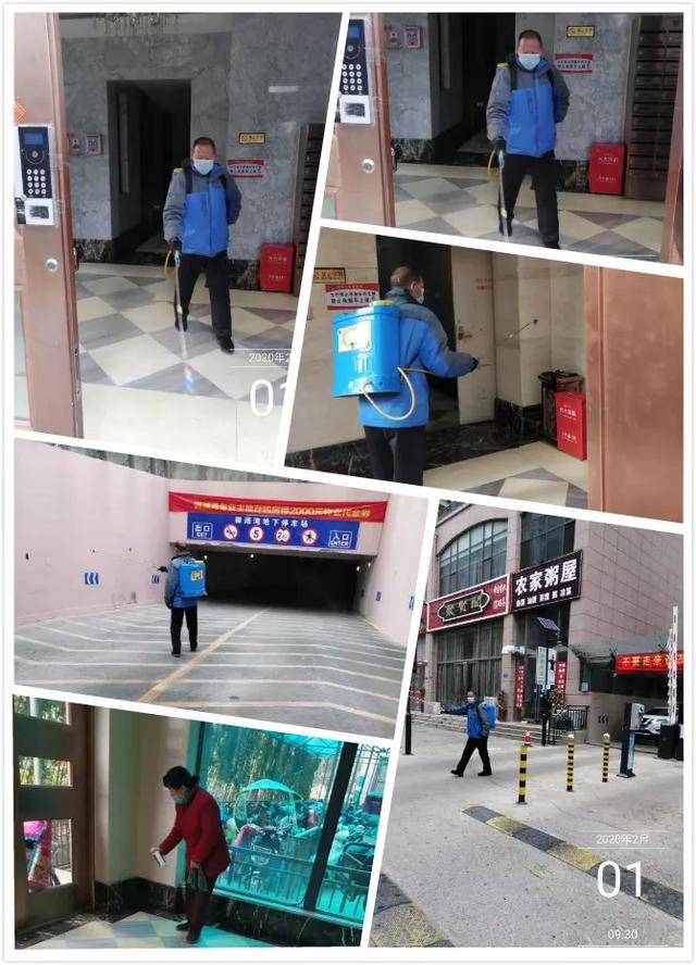 禹州御湖湾林溪3月12日“林溪绿色行 生态绿植大派送” 禹州御湖湾林溪3月12日“林溪绿色行 生态绿植大派送”
