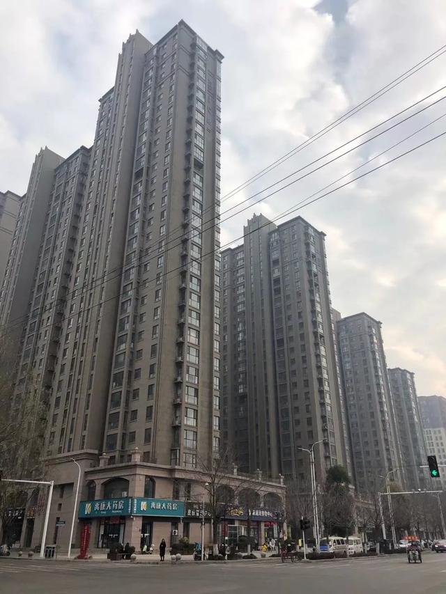 禹州御湖湾林溪3月12日“林溪绿色行 生态绿植大派送” 禹州御湖湾林溪3月12日“林溪绿色行 生态绿植大派送”