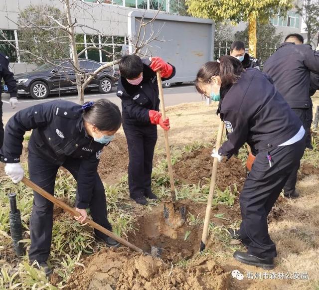 禹州市森林公安局:绽放芳华 栽种希望 禹州市森林公安局:绽放芳华 栽种希望