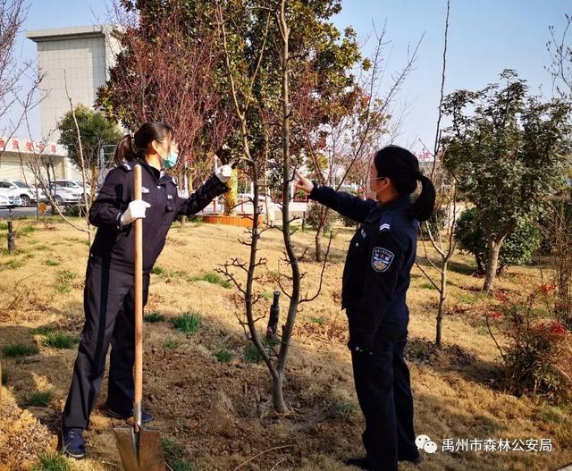 禹州市森林公安局:绽放芳华 栽种希望 禹州市森林公安局:绽放芳华 栽种希望