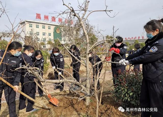禹州市森林公安局:绽放芳华 栽种希望 禹州市森林公安局:绽放芳华 栽种希望