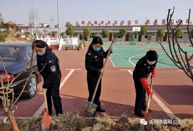 禹州市森林公安局:绽放芳华 栽种希望 禹州市森林公安局:绽放芳华 栽种希望