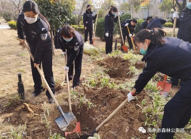 禹州市森林公安局:绽放芳华 栽种希望 禹州市森林公安局:绽放芳华 栽种希望
