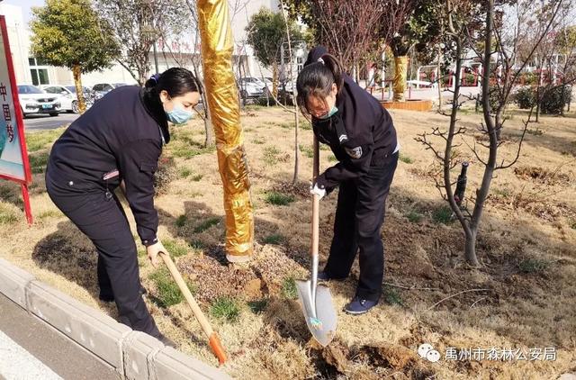 禹州市森林公安局:绽放芳华 栽种希望 禹州市森林公安局:绽放芳华 栽种希望