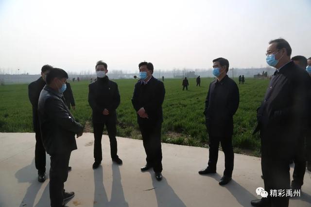禹州市长范晓东:细化任务强化措施扎实做好林业生态建设工作 禹州市长范晓东:细化任务强化措施扎实做好林业生态建设工作