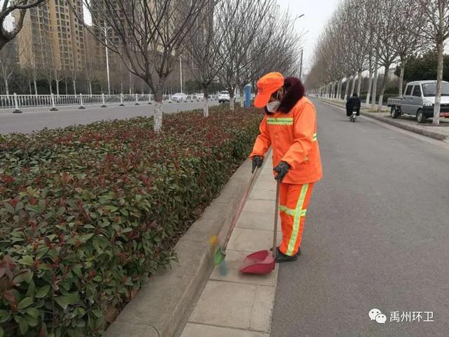 禹州环卫:巾帼之花柔亦刚 奉献环卫敢担当 禹州环卫:巾帼之花柔亦刚 奉献环卫敢担当