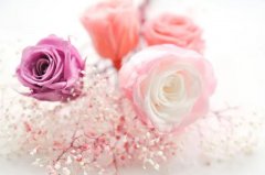 万里客运禹州分公司祝天下所有女同胞们，女神节快乐！