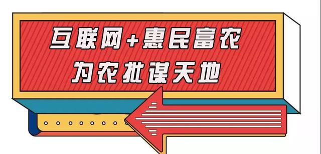 疫情结束后禹州农产品批发大市场将迎来大爆发!成为投资新宠! 疫情结束后禹州农产品批发大市场将迎来大爆发!成为投资新宠!