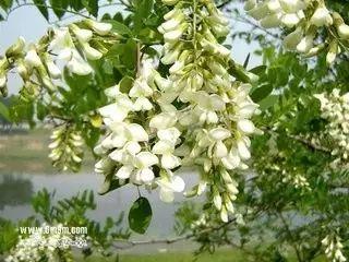 今天起禹州将“正式改名”!赶紧去这些地方看看,否则就看不到了.… 今天起禹州将“正式改名”!赶紧去这些地方看看,否则就看不到了.…