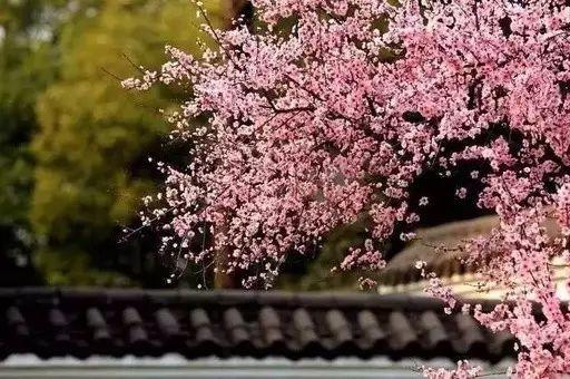 今天起禹州将“正式改名”!赶紧去这些地方看看,否则就看不到了.… 今天起禹州将“正式改名”!赶紧去这些地方看看,否则就看不到了.…