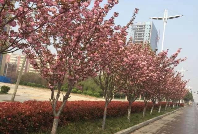 今天起禹州将“正式改名”!赶紧去这些地方看看,否则就看不到了.… 今天起禹州将“正式改名”!赶紧去这些地方看看,否则就看不到了.…