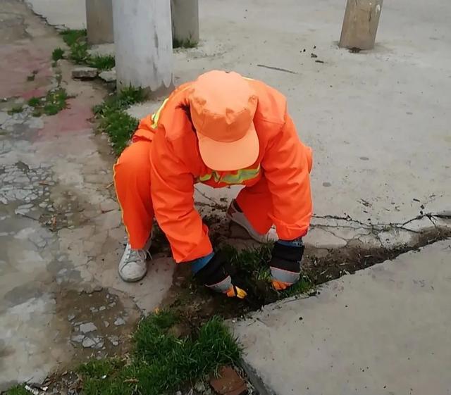 禹州环卫:用心呵护城市卫生,努力提升宜居环境 禹州环卫:用心呵护城市卫生,努力提升宜居环境