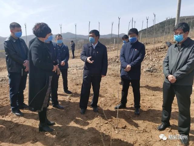 禹州市委书记王宏武在鸠山镇调研脱贫攻坚工作 禹州市委书记王宏武在鸠山镇调研脱贫攻坚工作