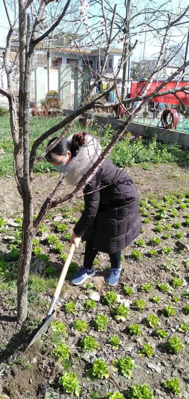 禹州市新天地:人与自然命运共同体 禹州市新天地:人与自然命运共同体