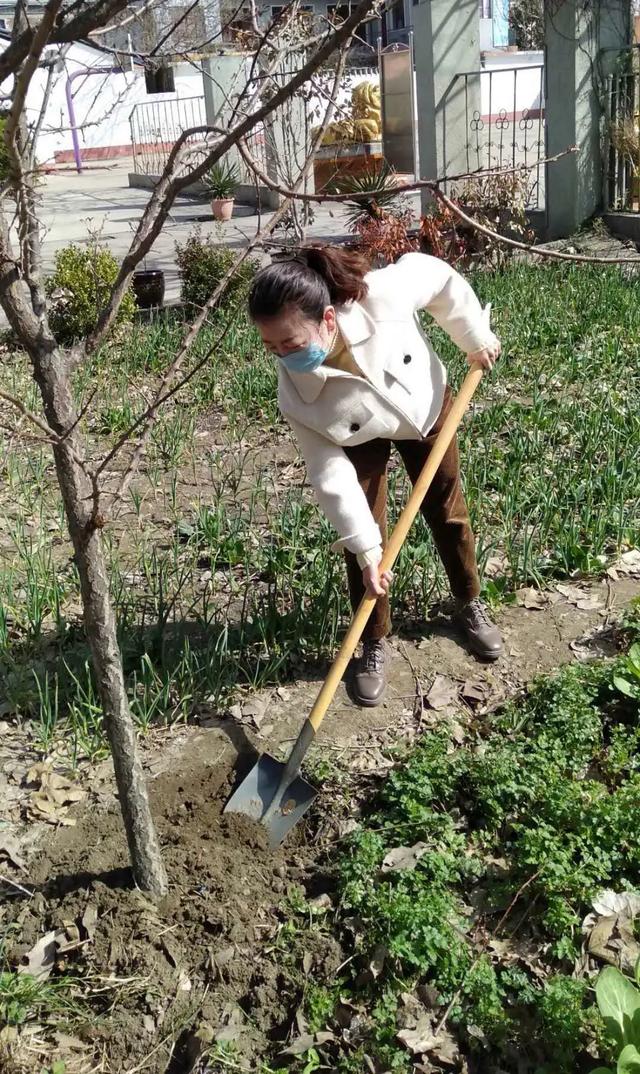 禹州市新天地:人与自然命运共同体 禹州市新天地:人与自然命运共同体