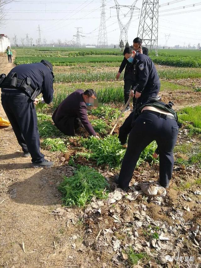 禹州民警在郭连镇的一片菜地里发现了一个“秘密” 禹州民警在郭连镇的一片菜地里发现了一个“秘密”