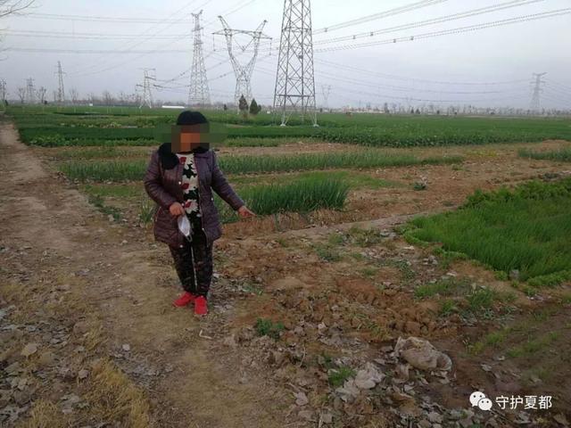 禹州民警在郭连镇的一片菜地里发现了一个“秘密” 禹州民警在郭连镇的一片菜地里发现了一个“秘密”