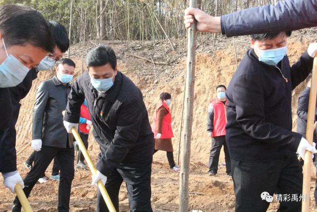 今天,我们为大美禹州再添新绿 今天,我们为大美禹州再添新绿