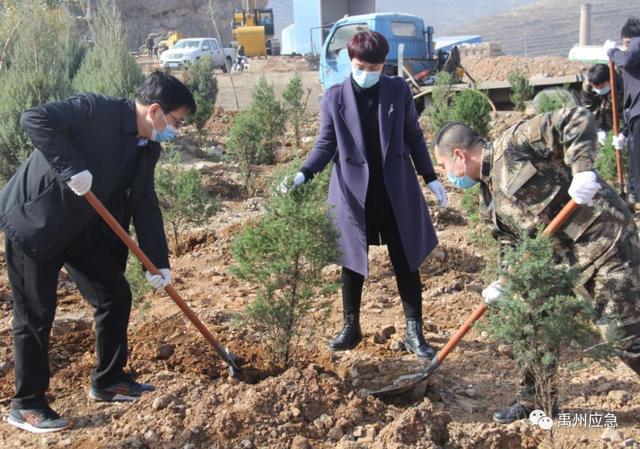 禹州市应急管理局开展春季全民 义务植树活动 禹州市应急管理局开展春季全民 义务植树活动