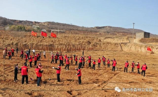 禹州市森林公安局:志愿服务栽植“青年林” 禹州市森林公安局:志愿服务栽植“青年林”