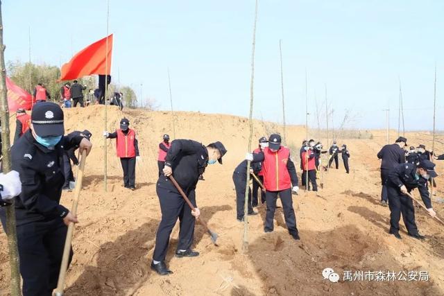 禹州市森林公安局:志愿服务栽植“青年林” 禹州市森林公安局:志愿服务栽植“青年林”