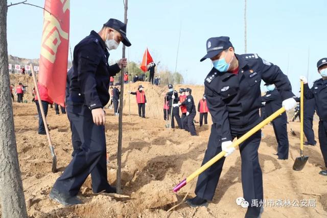 禹州市森林公安局:志愿服务栽植“青年林” 禹州市森林公安局:志愿服务栽植“青年林”