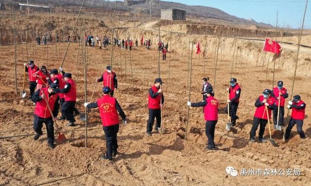 禹州市森林公安局:志愿服务栽植“青年林” 禹州市森林公安局:志愿服务栽植“青年林”