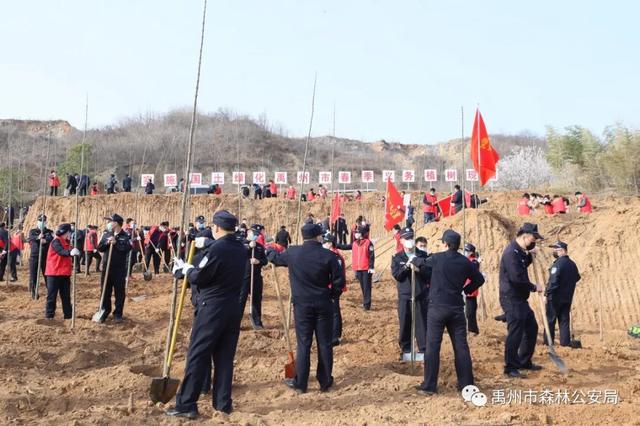 禹州市森林公安局:志愿服务栽植“青年林” 禹州市森林公安局:志愿服务栽植“青年林”
