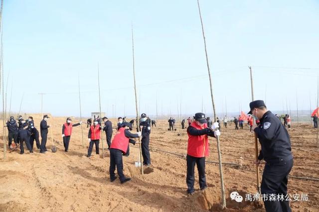 禹州市森林公安局:志愿服务栽植“青年林” 禹州市森林公安局:志愿服务栽植“青年林”
